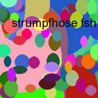 strumpfhose fsh story