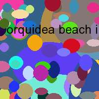 orquidea beach ibiza